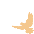 20250905134905_4101