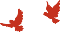 20250905134906_6534