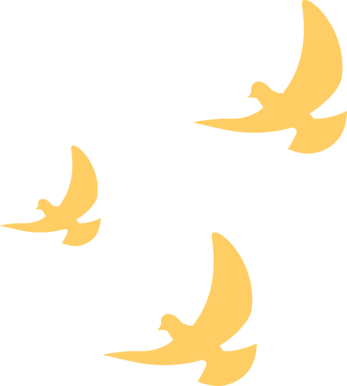 20260130163336_9322 20260130163336_9322